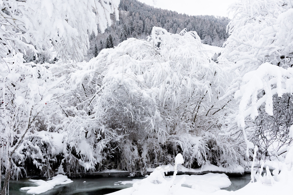 Winterwonderland Thomatal | Ihre Fotografin im Lungau, ihre Fotografin im Mostviertel, Wandbilder Onlineshop, Imagefotos für Ihr Unternehmen,  - Realisiert mit Pictrs.com