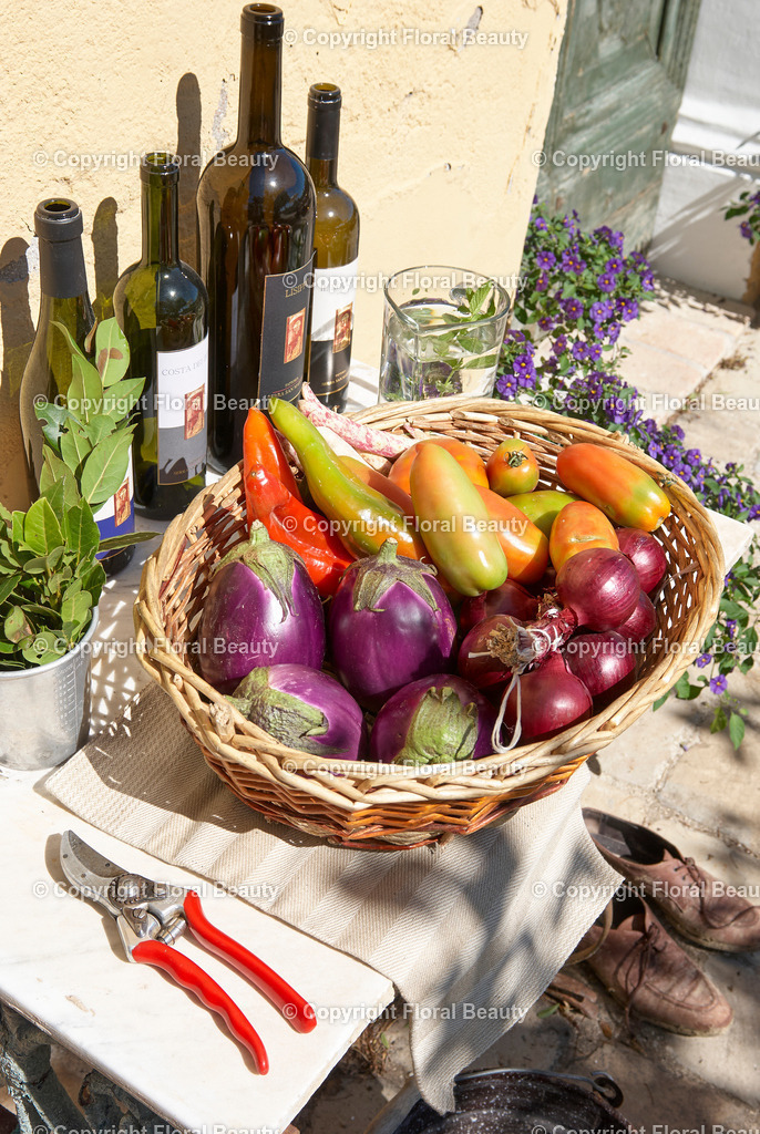 Weingut in Italien | Korb gefüllt mit Auberginen,Paprika, Zwiebeln neben Weinflaschen - Realisiert mit Pictrs.com