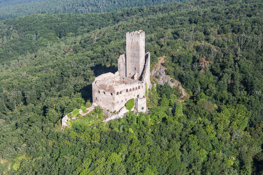 Vue aérienne: Ruines et vestiges des murs de l'ancien château et forteresse de Ramstein à Scherwiller dans le département Bas Rhin, France. Photo: IMG_093281.jpg prise le 16/08/2016 par Werner Riehm/FLY-FOTO.eu – Résolution de l'original: 5472 x 3648 px