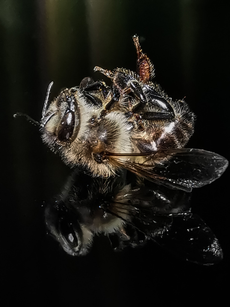 PSX_20230129_003357 | mtkfoto_ - Realisiert mit Pictrs.com