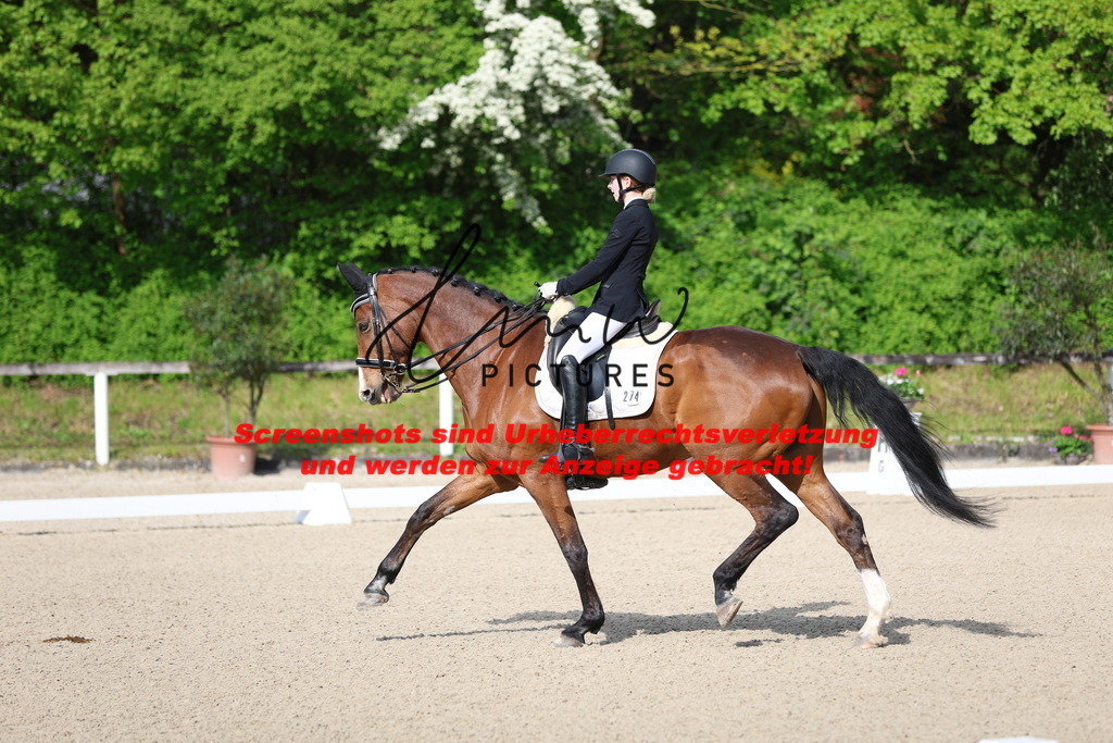 A40A3661 | lmwpictures - Realisiert mit Pictrs.com