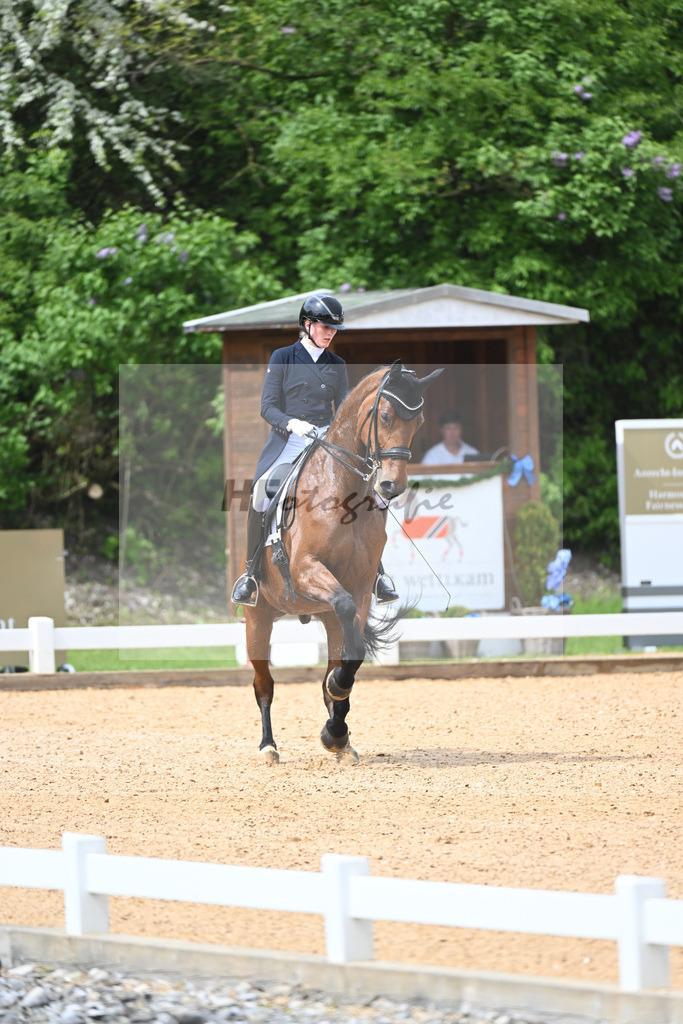 Fisch_Apanage_11233406 | hf-fotografie - Realisiert mit Pictrs.com