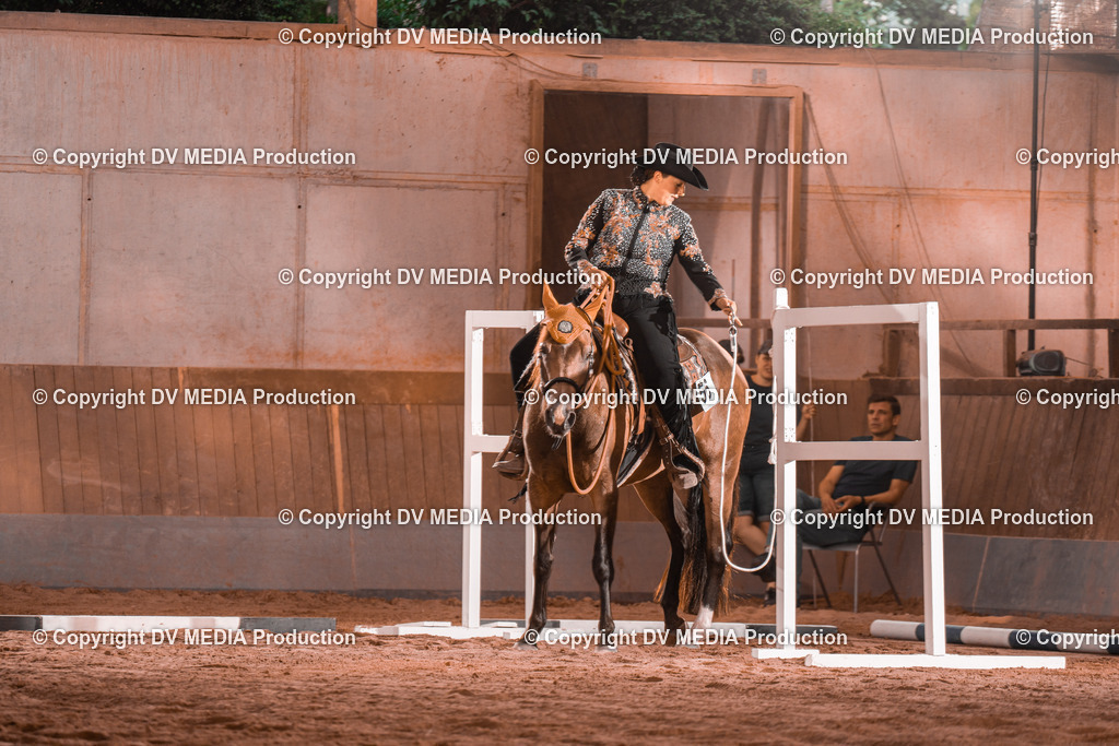 NE300042 | dv-media-shop - Realisiert mit Pictrs.com