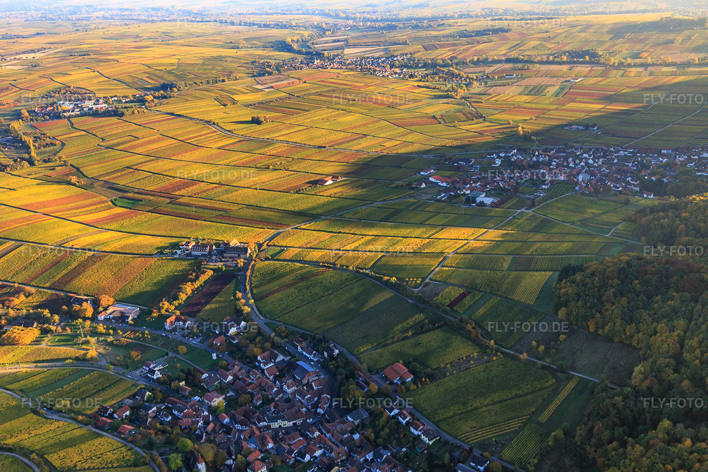 Luftbild: Hotel Leinsweiler Hof zwischen berbstlicht bunten Weinbergen in Leinsweiler im Bundesland Rheinland-Pfalz in Deutschland. Foto: IMG_095721.jpg vom 30.10.2016 durch Werner Riehm/FLY-FOTO.deUnvergessliche Momente im Urlaub - Leinsweiler Hof