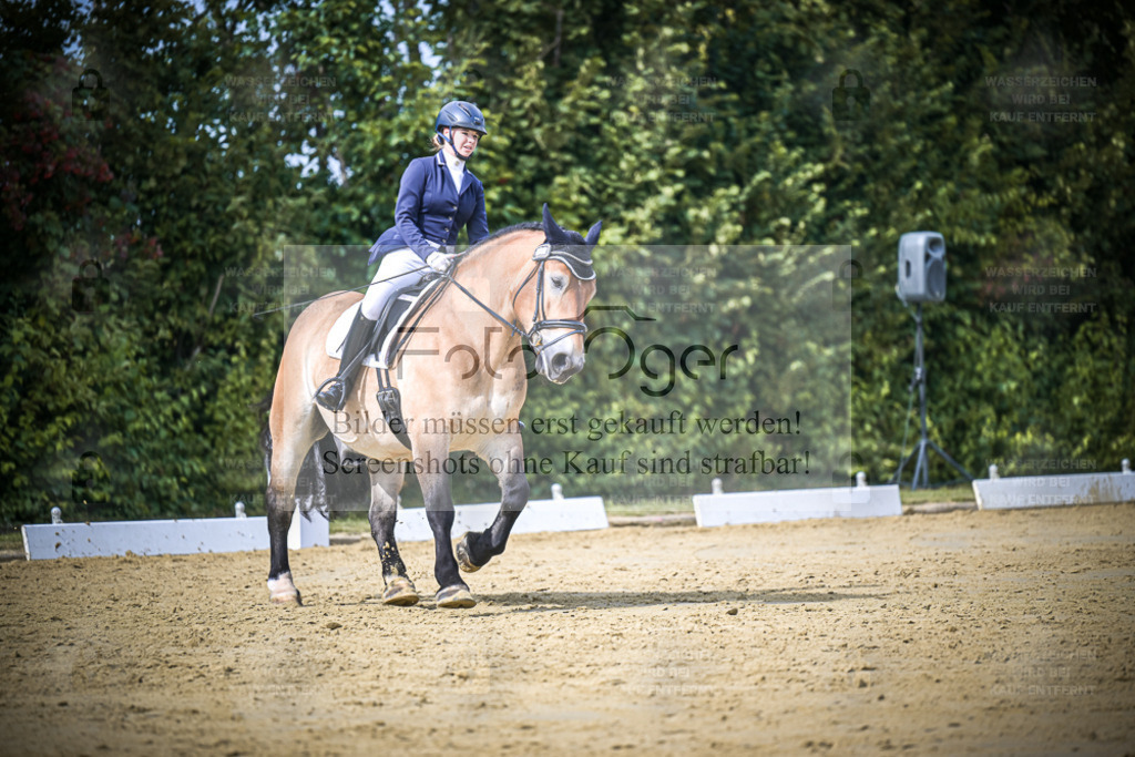 DOS_6668 | Entdecke hochwertige Reitturnierfotos von Foto Oger. Professionell, emotional und authentisch – jetzt Lieblingsmomente im Shop bestellen. - Realisiert mit Pictrs.com