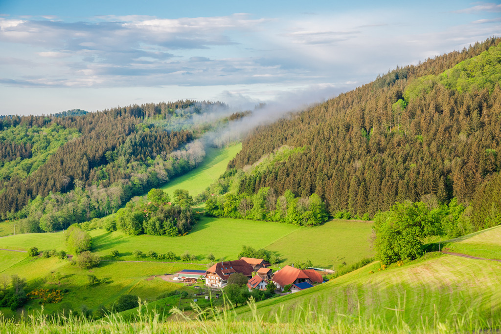 alphorn-13 | Nach dem Gewitter im Oberbüchern - Realisiert mit Pictrs.com