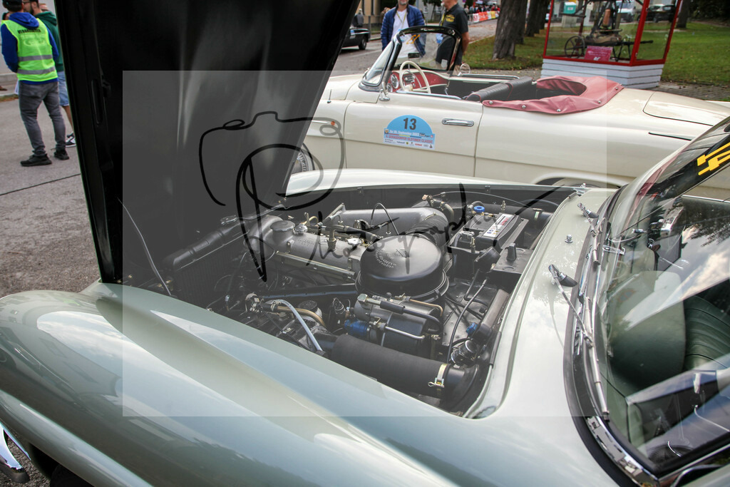 IMG_4575 | Gerhard Witt