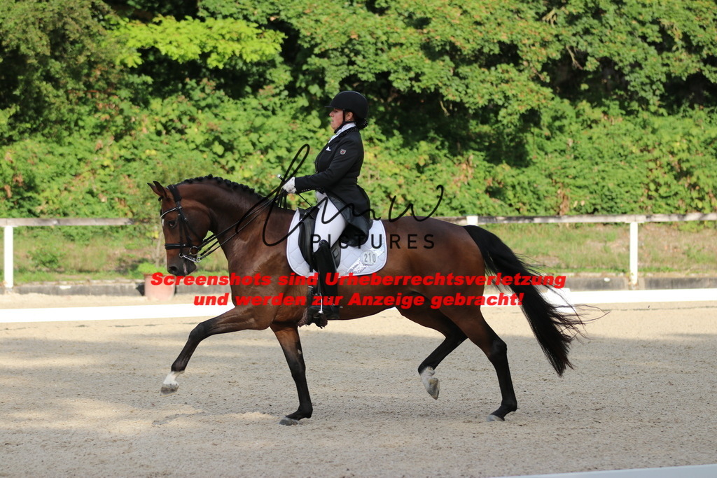 IMG_6148 | lmwpictures - Realisiert mit Pictrs.com