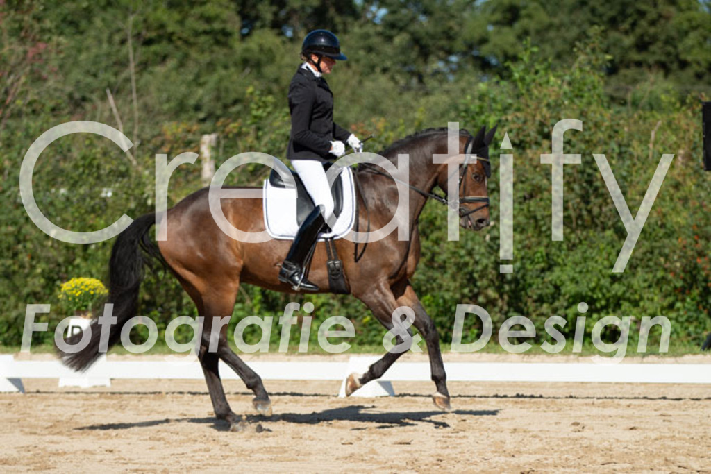 IMG_5252 | Creatify Fotografie