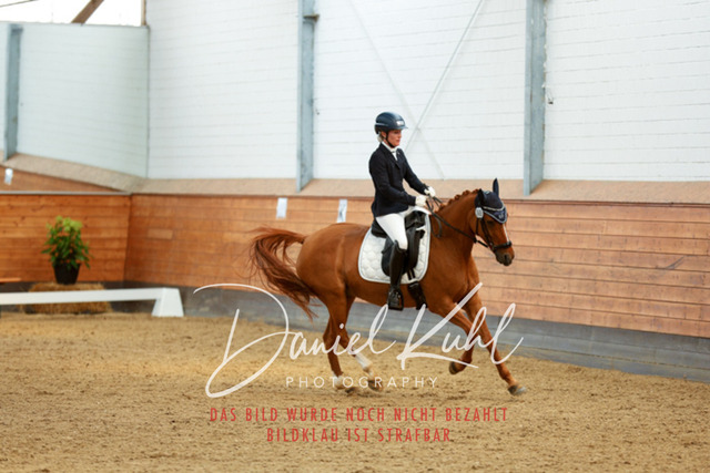 _62_6974 | Turniersportfotografie; Pferdefotografie; Dressurfotografie