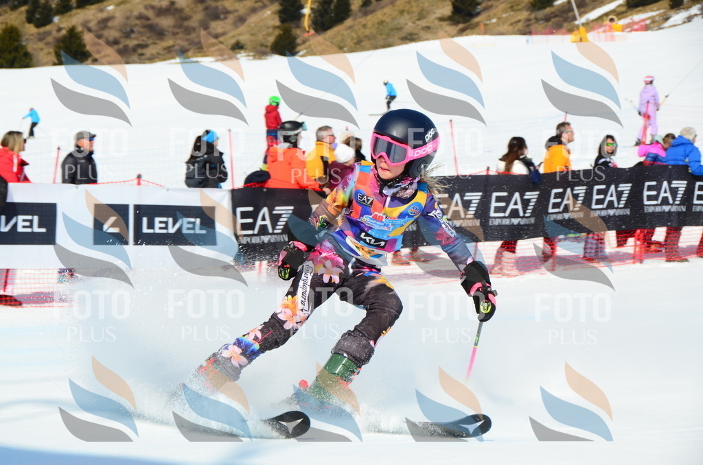 DSC_0502 | holidayphoto