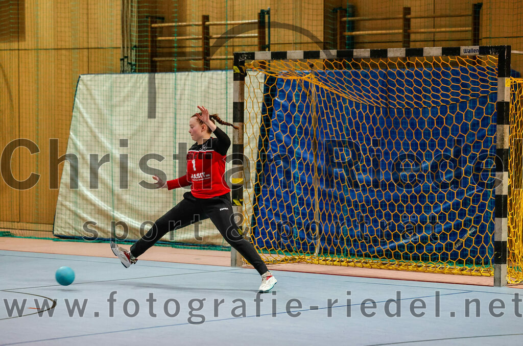 2023-12-09_083_SpVgg_Altenerding_gegen_HSG_Freising-Neufahrn | Erding, Deutschland, 09.12.2023:
Handball, Bezirksoberliga Frauen Altbayern 2023 / 2024, 9. Spieltag, SpVgg Altenerding gegen HSG Freising-Neufahrn, Endergebnis: 29:28

Nadine Krings (HSG Freising-Neufahrn, #1)

Foto: Christian Riedel / fotografie-riedel.net