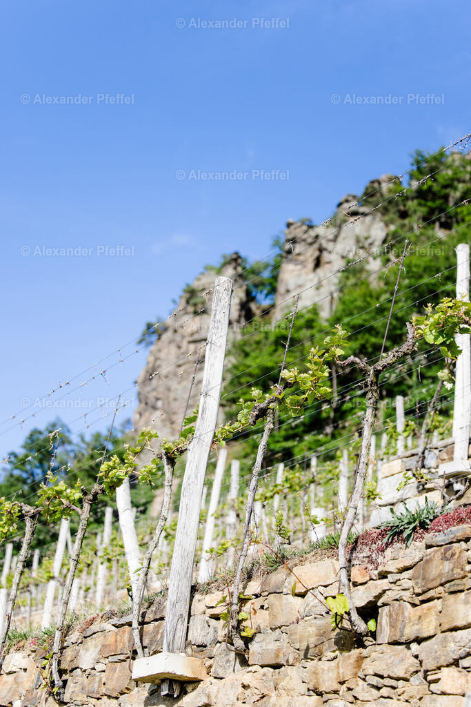 foto_c_pfeffel-partner-0193-R52_2281 | alexander-pfeffel - Realisiert mit Pictrs.com