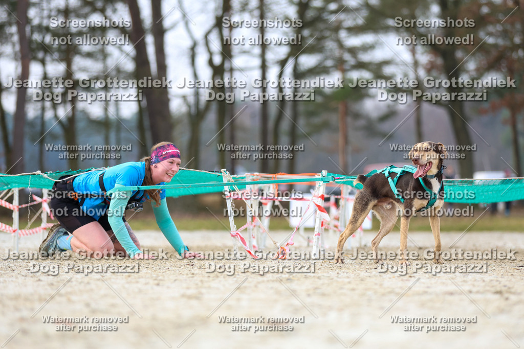 Dog Paparazzi - Strongdog North Mrz26-3866 | Dog Paparazzi Jeanette Grottendiek Fotografie & Videografie - Realisiert mit Pictrs.com