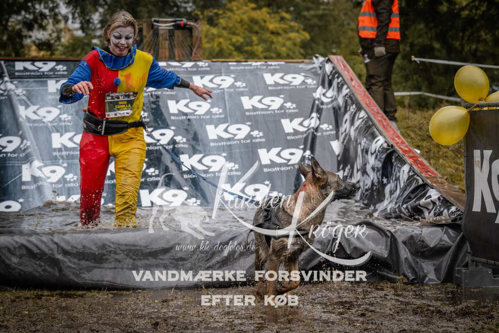 1114_ZZ92335 | kk-dogfotos