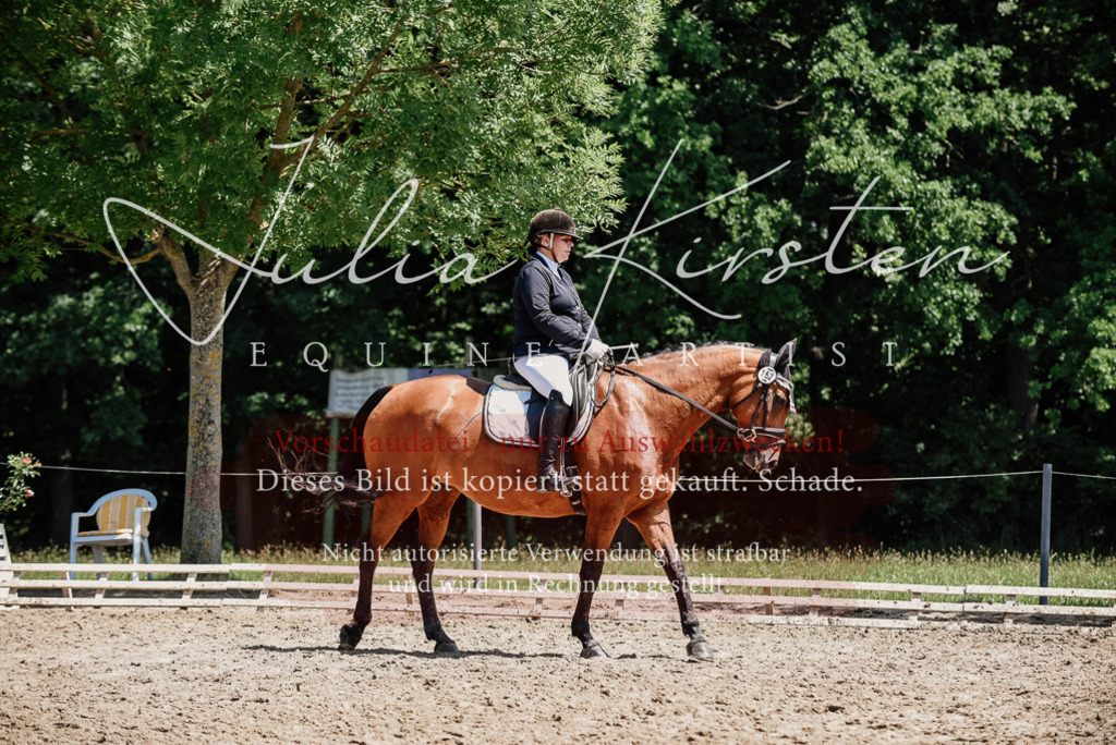 DSC_1995 | Pferde- und Turnierfotografie in Westsachsen. Pferdeportraits, Auftragszeichnungen und intuitive Kunst.