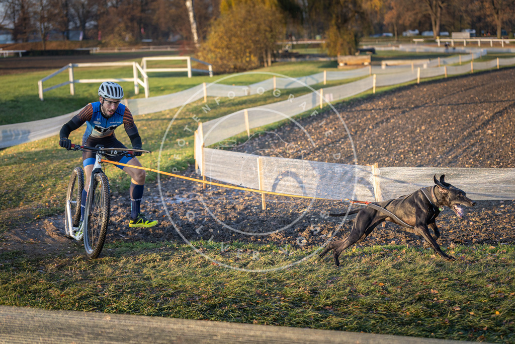 CaniXpix_DV3A9588 | Hundefotografie, Tierfotograf, Pfotenfotografie, Fotoshooting Hund, Hunde Portrait, Hundesport, Hundeportraits, Heideshooting, Hunde, Sportfotograf, Hundefotograf, Turnierhundsport, THS,  - Realisiert mit Pictrs.com
