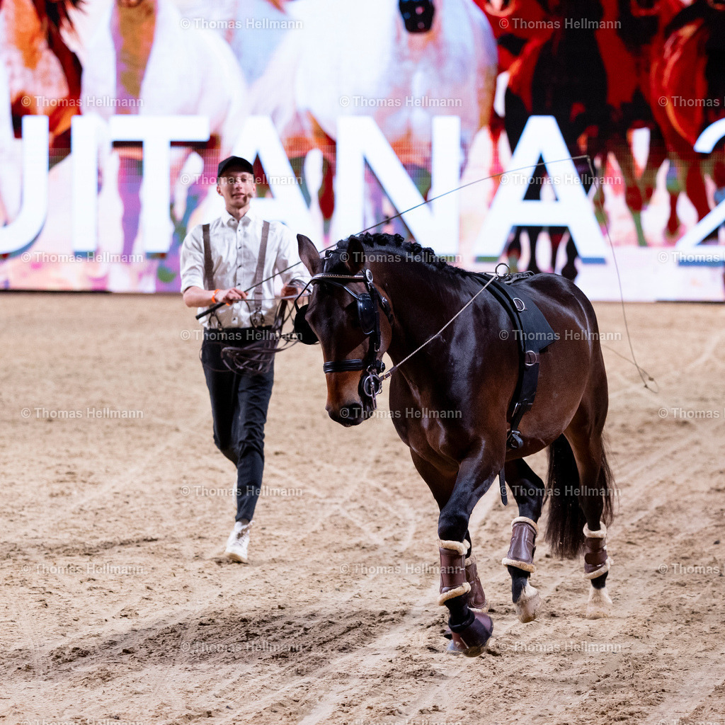 TH_Alex Blome_27329 | EQUITANA 2025 am 11.03.25 in Essen