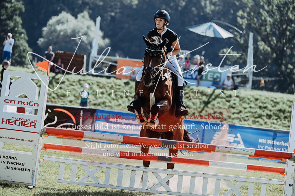 DSC_5809 | Pferde- und Turnierfotografie in Westsachsen. Pferdeportraits, Auftragszeichnungen und intuitive Kunst.