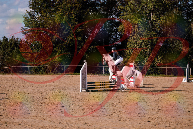 2026_10_03_Siefer-Hof_153917_Z81_54129478 | Professionelle Reitsport-, Turnier- und Eventfotografie von Robert Broda. Galerien mit ausgewählten und bearbeiteten Bildern direkt online ansehen und bestellen.