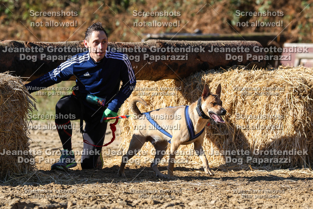 Dog Paparazzi - Strongdog 10-25-2554 | Dog Paparazzi Jeanette Grottendiek Fotografie & Videografie - Realisiert mit Pictrs.com