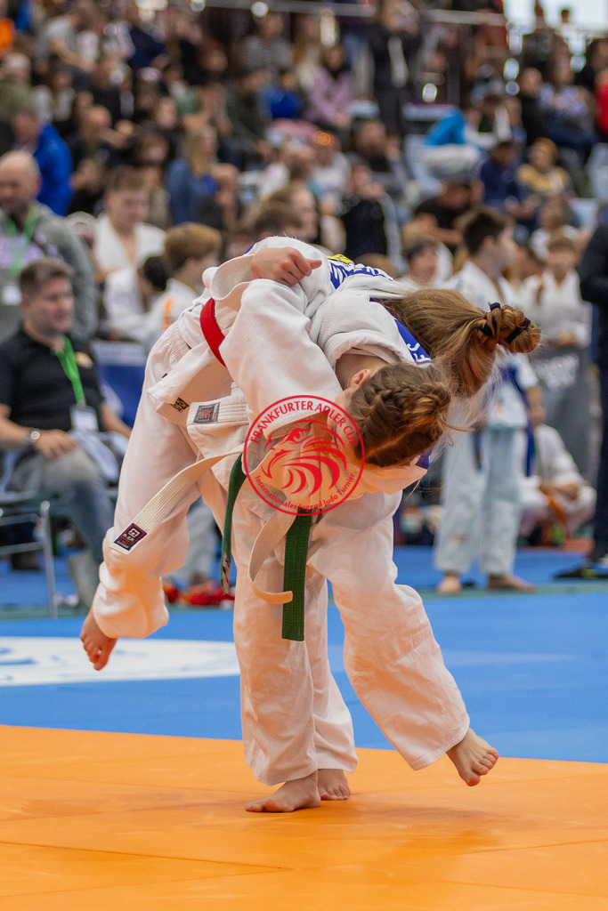 Internationaler Adler Cup 2024 | Foto vom Internationalen Adler Cup Judo Turnier im Sport- und Freizeitzentrum Kalbach im Oktober 2024 - Realisiert mit Pictrs.com