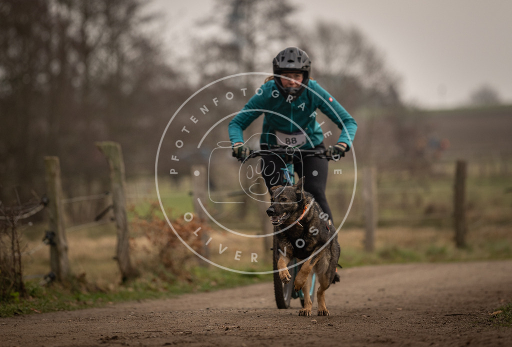 Pfotenfotografie_DV3A4156 | Hundefotografie, Tierfotograf, Pfotenfotografie, Fotoshooting Hund, Hunde Portrait, Hundesport, Hundeportraits, Heideshooting, Hunde, Sportfotograf, Hundefotograf, Turnierhundsport, THS,  - Realisiert mit Pictrs.com