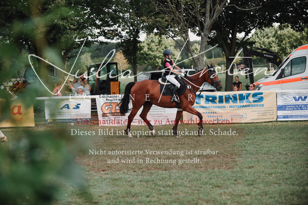 DSC_5597 | Pferde- und Turnierfotografie in Westsachsen. Pferdeportraits, Auftragszeichnungen und intuitive Kunst.