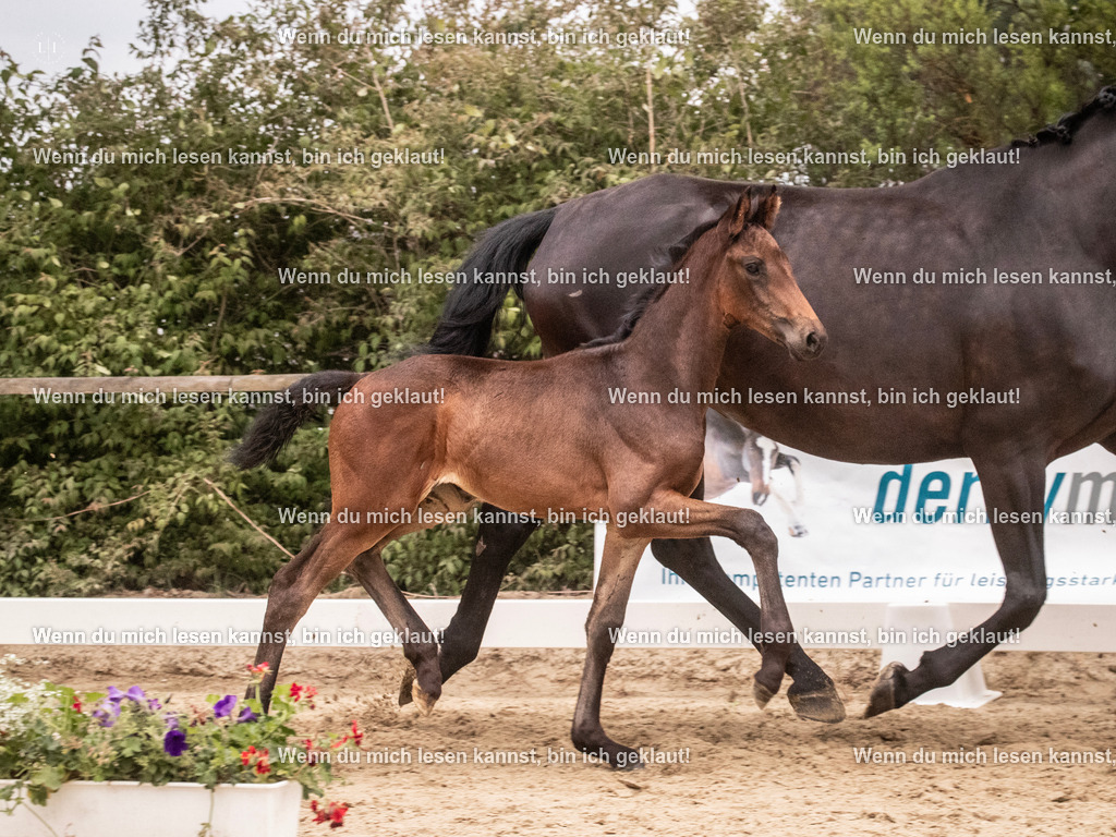 A10I6002 | photographylinaismer - Realisiert mit Pictrs.com