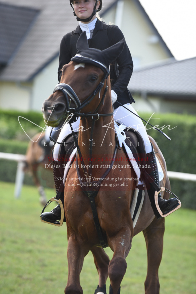 DSC_8999 | Pferde- und Turnierfotografie in Westsachsen. Pferdeportraits, Auftragszeichnungen und intuitive Kunst.
