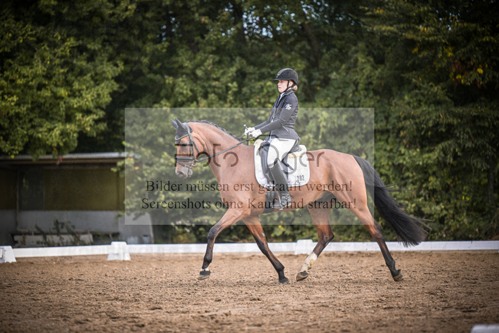 DOS_0995 | Entdecke hochwertige Reitturnierfotos von Foto Oger. Professionell, emotional und authentisch – jetzt Lieblingsmomente im Shop bestellen.Deutschlandweite Turnierfotografie. - Realisiert mit Pictrs.com