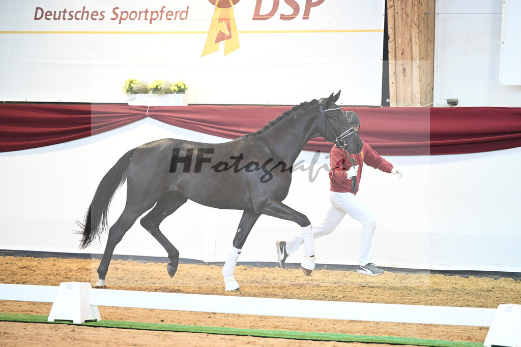 Kat-Nr. 25 v. Donier_Koch_66220240 | hf-fotografie - Realisiert mit Pictrs.com