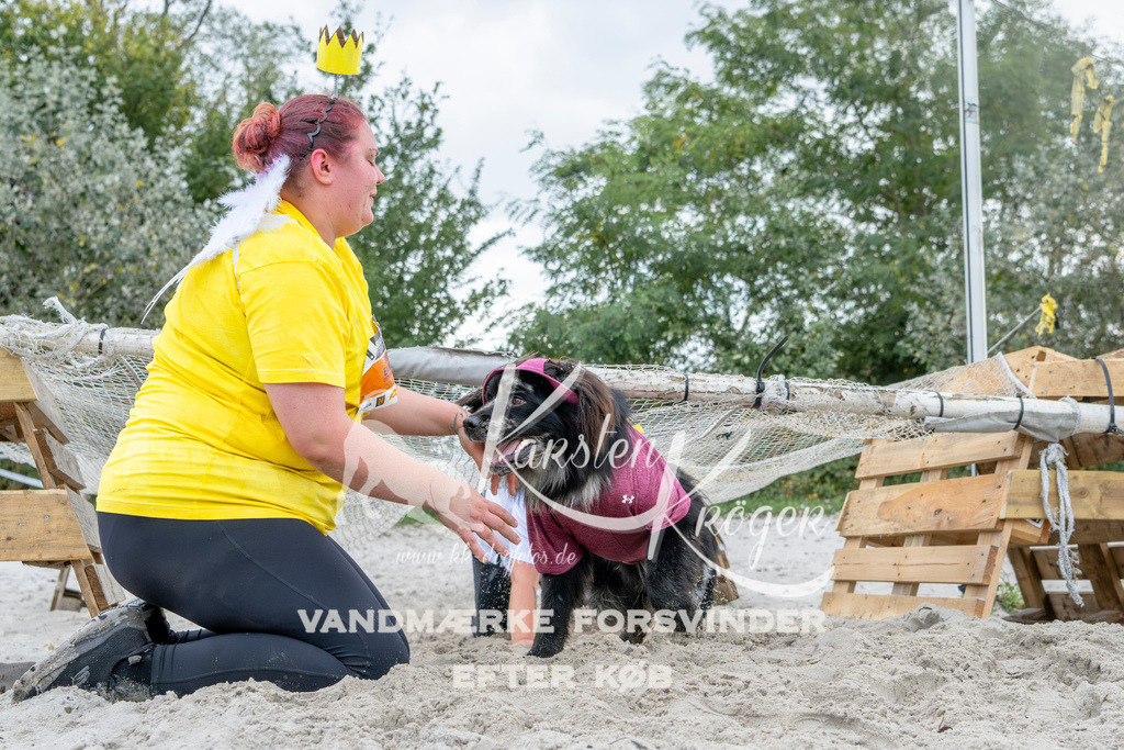 1541_ZZ96579 | kk-dogfotos