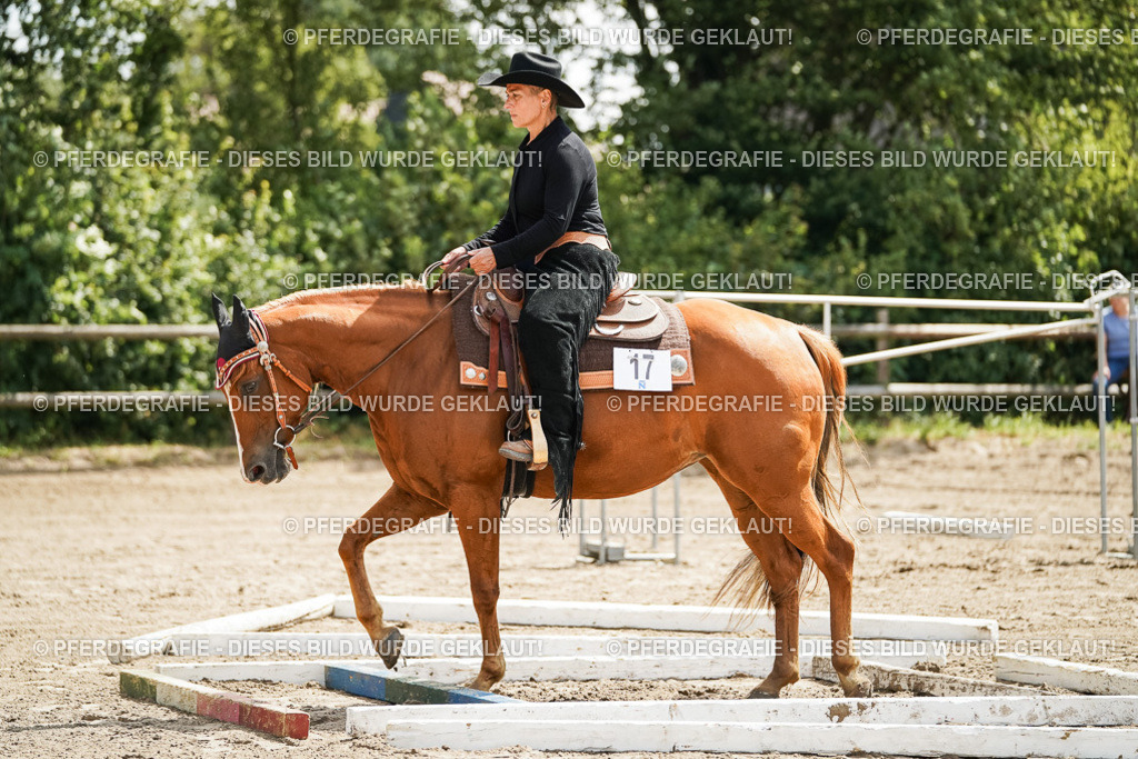 DSC05994 | Pferdegrafie