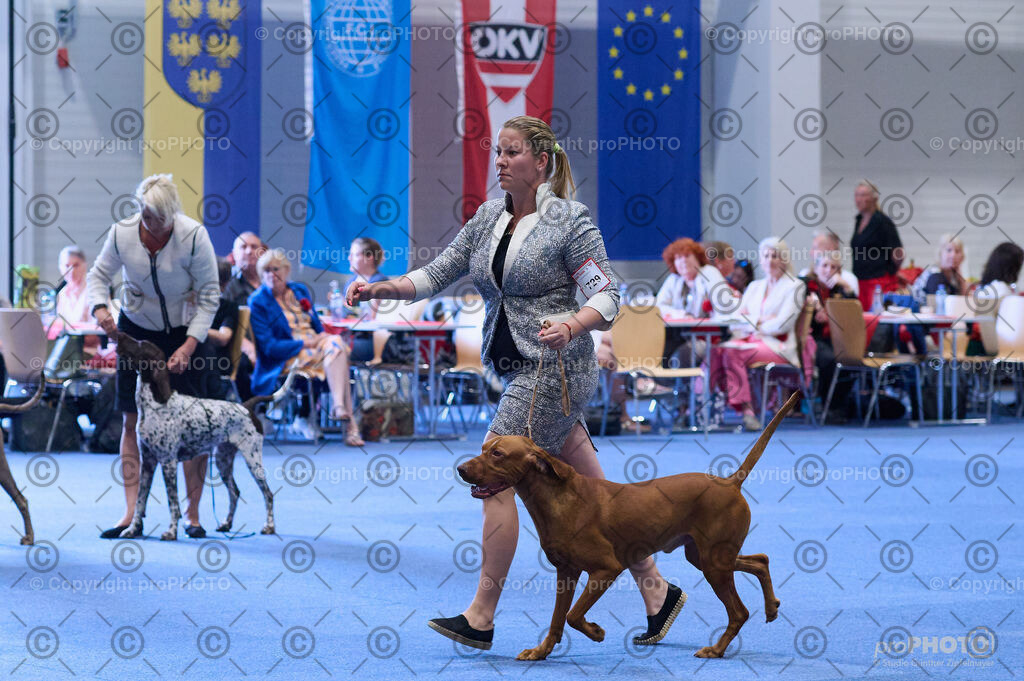 202406_ÖKV-IHA-Tulln24_DSC_4135 | proPHOTO - Realisiert mit Pictrs.com