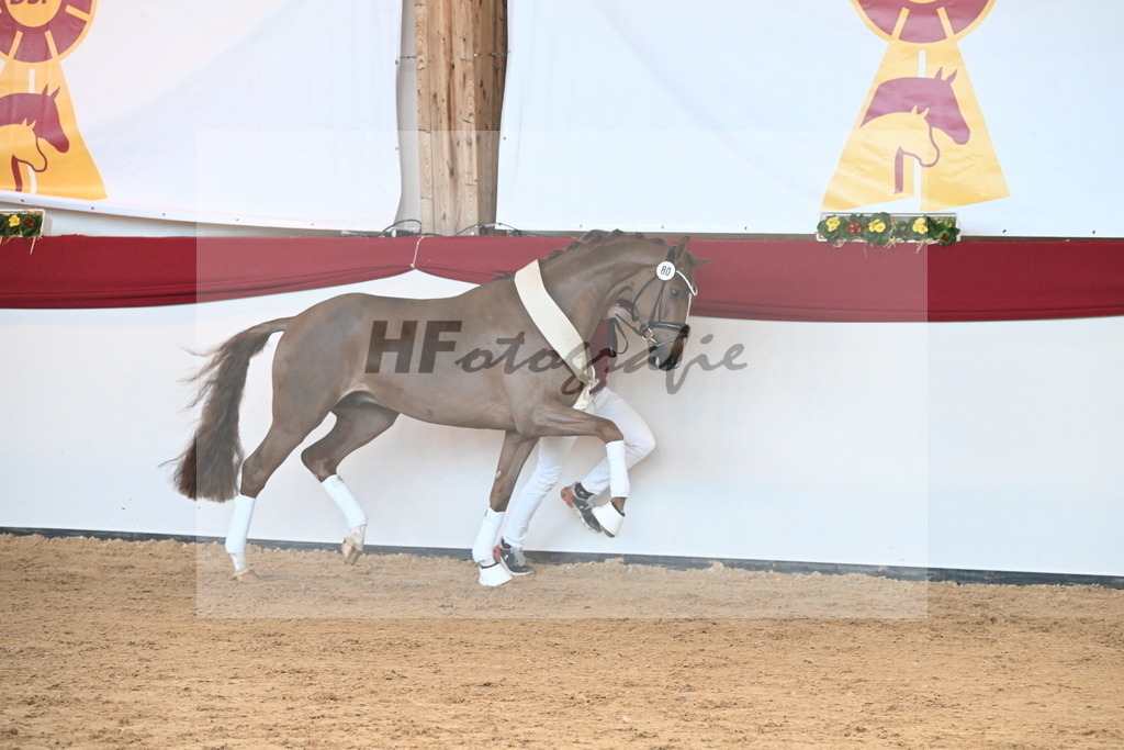 Kat.-Nr. 80 v. Vivino_Schepergerdes_2242907 | hf-fotografie - Realisiert mit Pictrs.com
