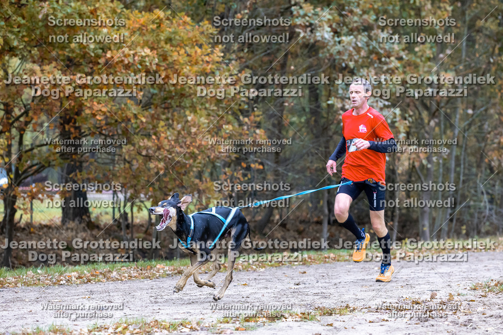 Dog Paparazzi - SD CaniX Championship 2025-382 | Dog Paparazzi Jeanette Grottendiek Fotografie & Videografie - Realisiert mit Pictrs.com