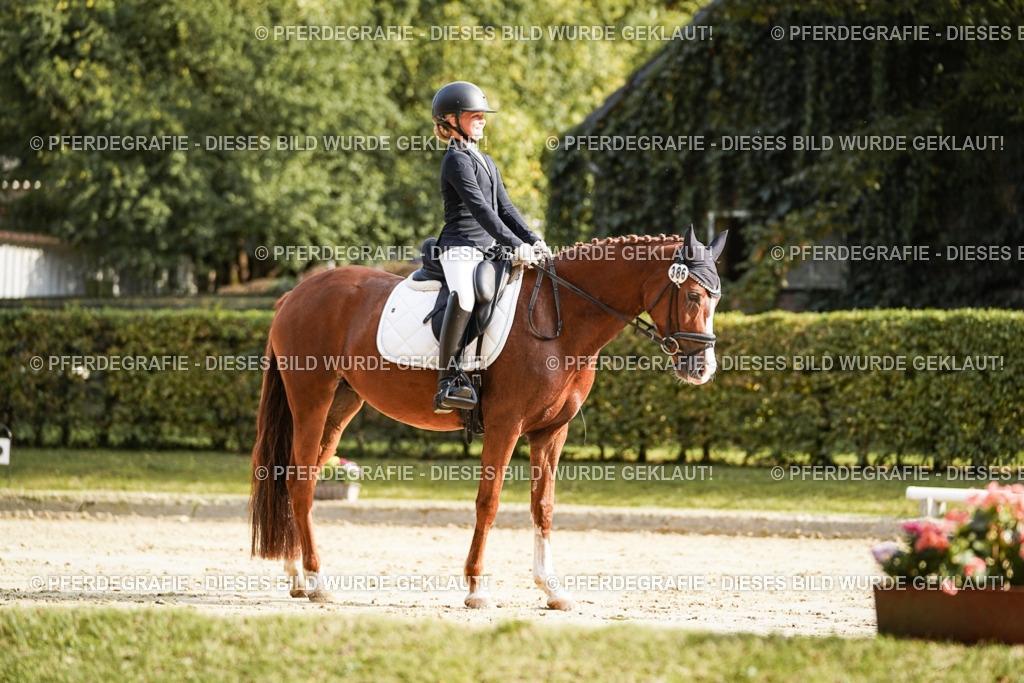 DSC06016 | Pferdegrafie