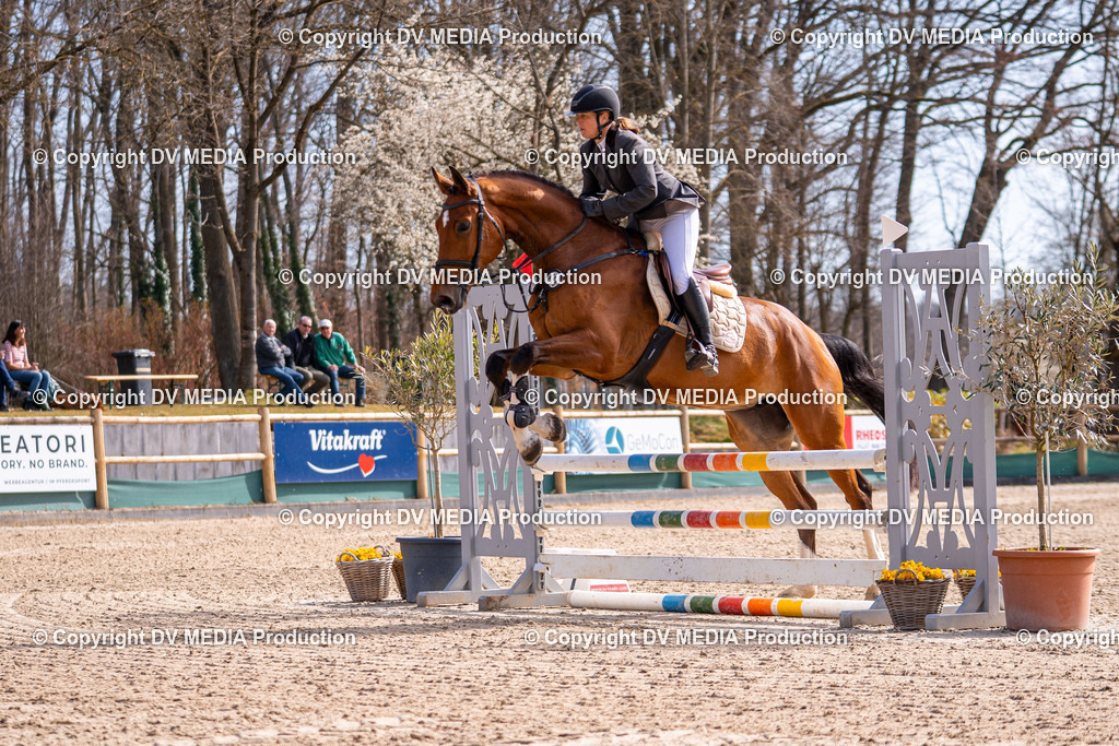 Kranichstein Tag 1-541 | dv-media-shop - Realisiert mit Pictrs.com