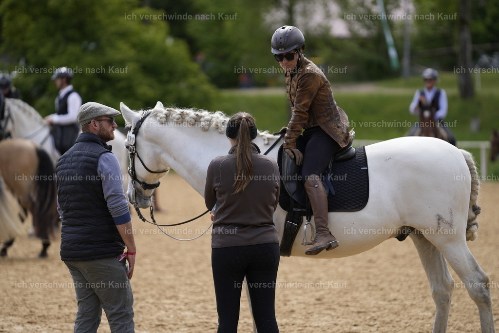 PI26_COW_Stoibphotography_A749512.JPG | working equitationturnier fotograf videograf stoibphotography marixx film working equitation deutschland reitsport turnierfotografie eventfotografie equestrian events