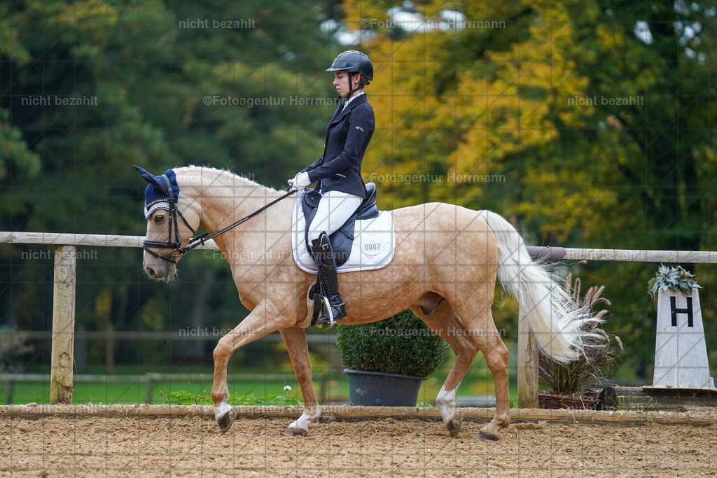 20221008-FAH01561 | Diessen am Ammersee, 2022, Dressur- und Springturnier, Reitsportbilder, Turnierfotografen Bayern, Pferdefotografen, Fotoagentur Herrmann, Turnierbilder