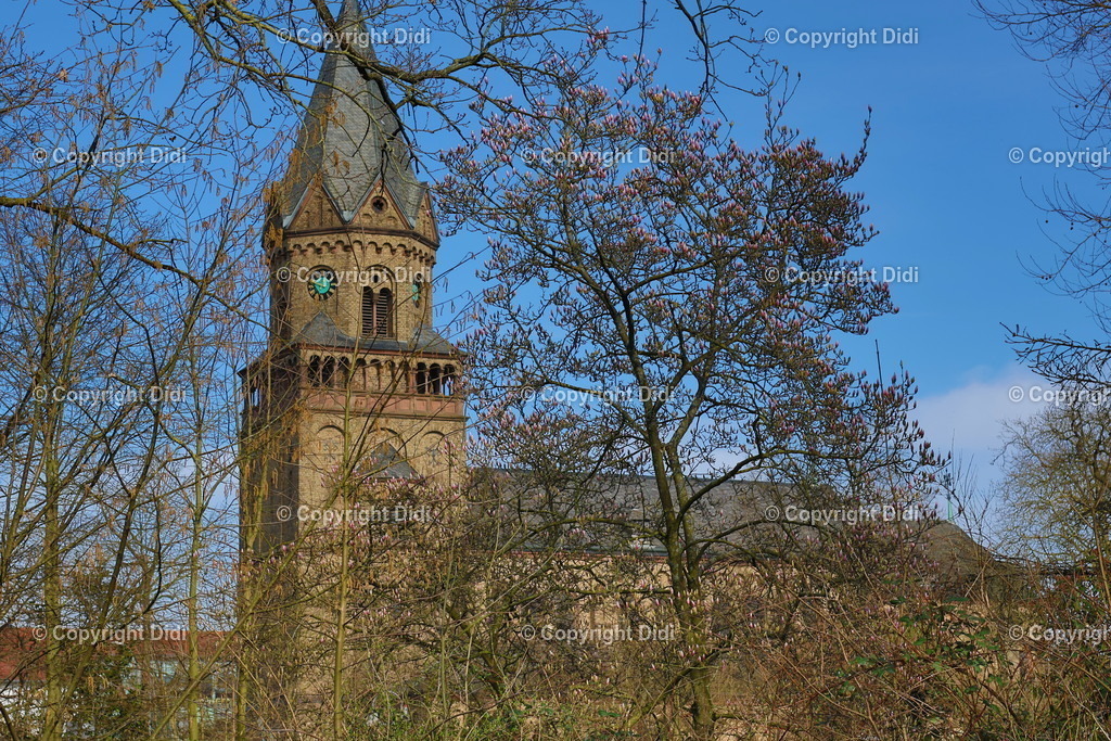 IMG_2143 | Didi - Realisiert mit Pictrs.com