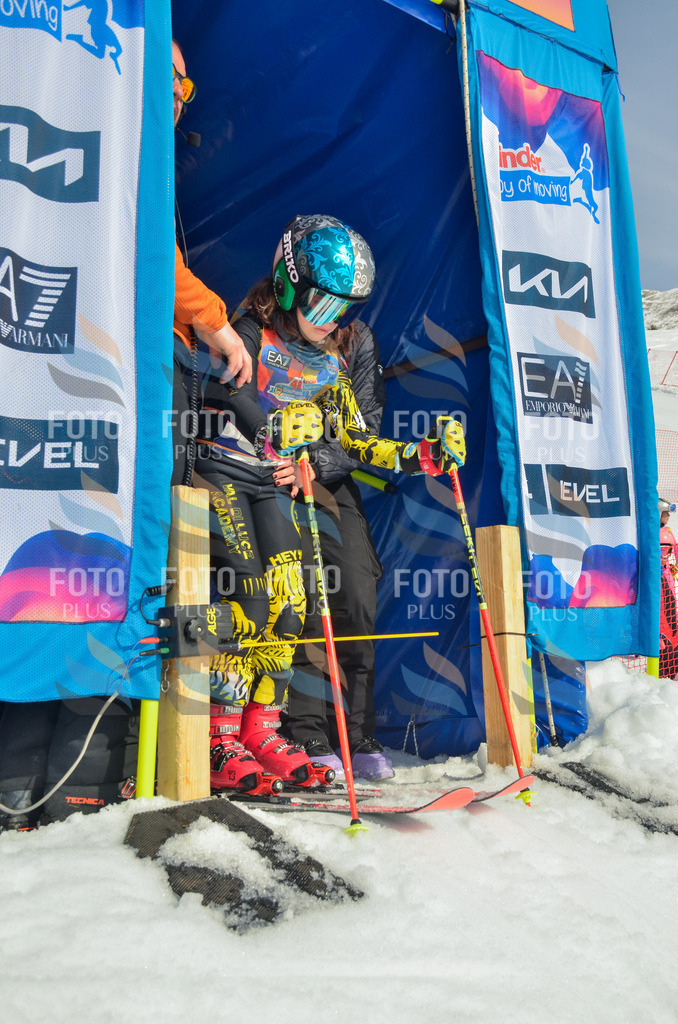 _ELE4392 | holidayphoto