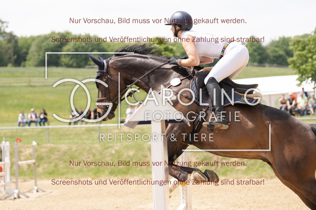 DSC06567 | Springturnier_Ehingen_Mai_2026, dr._eva_terpeluk, Unis_brown_cookie