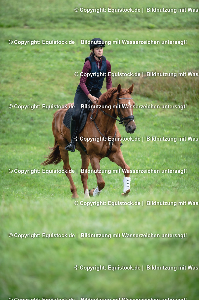 20250726_Vielseitigkeitslehrgang-Marbach_0098 | Foto: Thomas Hartig