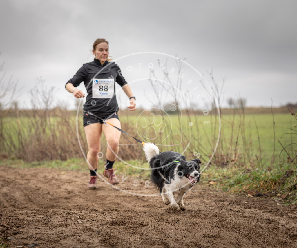 DV3A9959 | Hundefotografie, Tierfotograf, Pfotenfotografie, Fotoshooting Hund, Hunde Portrait, Hundesport, Hundeportraits, Heideshooting, Hunde, Sportfotograf, Hundefotograf, Turnierhundsport, THS,  - Realisiert mit Pictrs.com