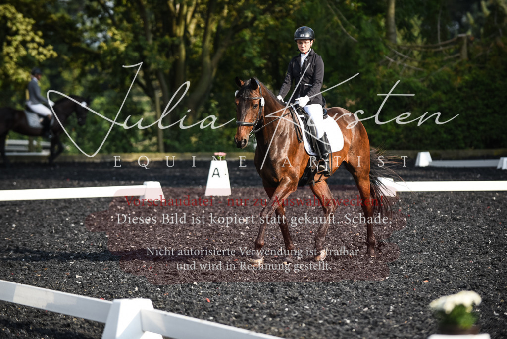 DSC_3292 | Pferde- und Turnierfotografie in Westsachsen. Pferdeportraits, Auftragszeichnungen und intuitive Kunst.