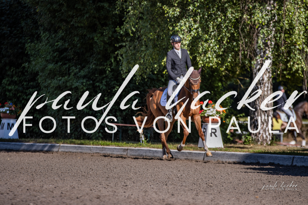 IMG_7970 | Erleben Sie dynamische Sport- und emotionale Tierfotografie in Süddeutschland mit Fotos von Paula. Spezialisiert auf Pferde- und Hundefotografie sowie Sportevents. Kontaktieren Sie mich für einzigartige und ausdrucksstarke Bilder Ihrer besonderen Momente. - Realisiert mit Pictrs.com
