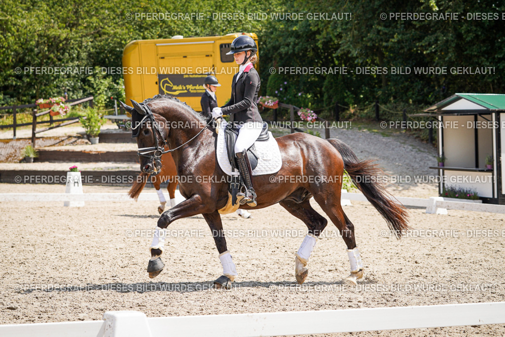 DSC01894 | Pferdegrafie