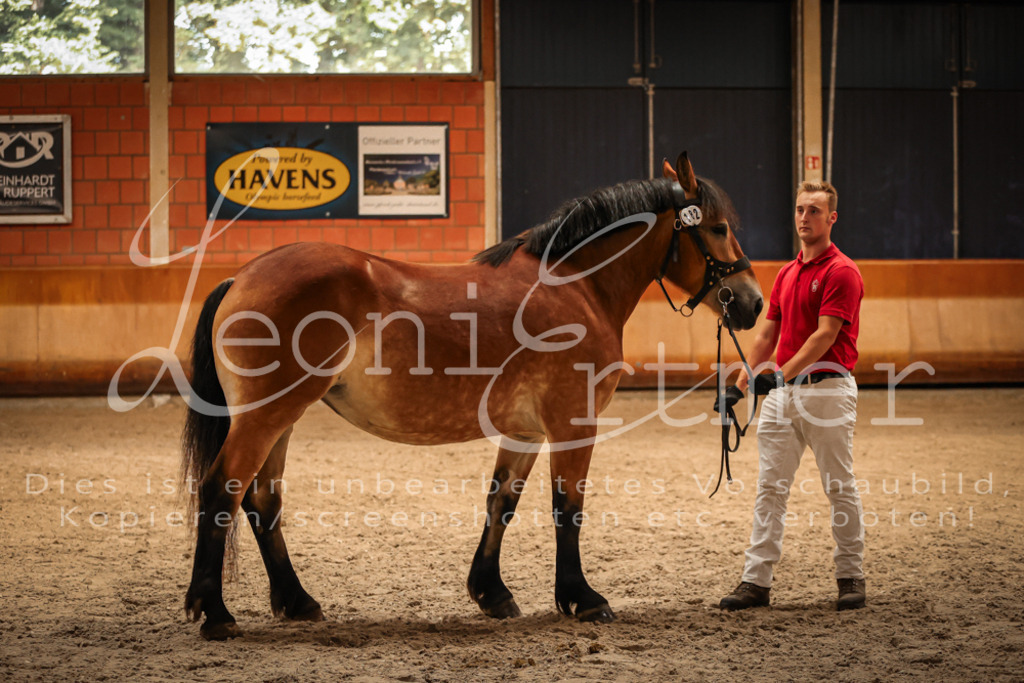 SaFL00086 | Leoni Ertmer Photography - Realisiert mit Pictrs.com